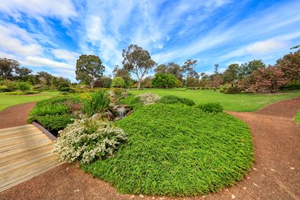 Japanese Garden - Cowra 